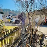 Lejlighed Almenrausch Mit 110 M2 Und Sonniger Terrasse *