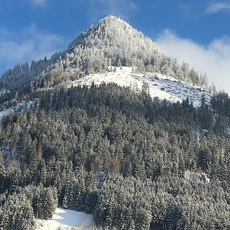 Almenrausch Mit 110 M2 Und Sonniger Terrasse Burgberg (Bavaria)
